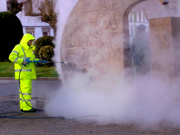 Best Local Pressure Washing Services  in West Salem, OH